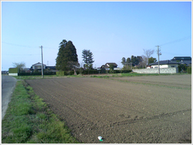写真1：農場全景